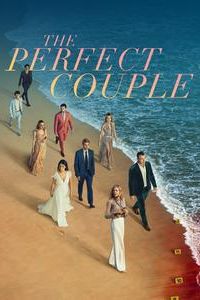 The Perfect Couple (TV series)