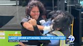 Los Angeles city bus driver violently attacked by woman over fare dispute