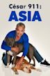 Cesar to the Rescue Asia