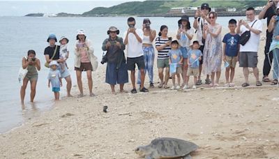 海龜保育員養成計畫！小朋友墾丁後壁湖親手放生欖蠵龜 - 生活