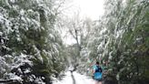 Patagonia Run, desde adentro: la felicidad de correr en la nieve, como si fuera un viaje de egresados a Narnia