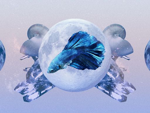 Pisces June 2024 Horoscope: Read Your Monthly Predictions