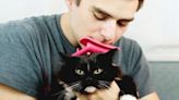 Have a Cat? Here’s Why You Need a Cat Brush