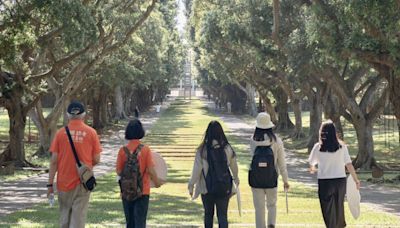 弘道爺奶Color Walk東海大學健走 8月起報名