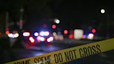 Victim in ‘suspicious’ fatal stabbing in Oak Park identified