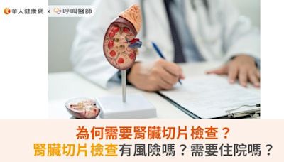 為何需要腎臟切片檢查？腎臟切片檢查有風險嗎？需要住院嗎？ | 蕃新聞