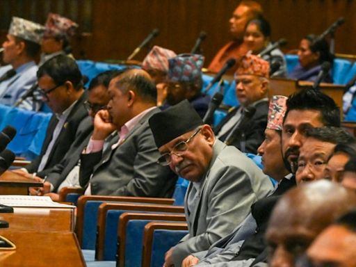 Nepal's Maoist PM loses parliamentary confidence vote