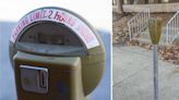 Time to get rid of downtown Belleville’s ‘vintage’ parking meters? Aldermen to decide