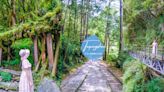 漫步迷霧森林鐵道景點～宜蘭太平山見晴懷古步道，全球最美小路之一