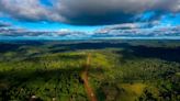 Día de la Tierra: cuándo es, por qué y desde cuándo se conmemora