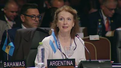 Diana Mondino pidió ante la OEA una solución al conflicto de las Islas Malvinas y el reclamo fue aprobado por aclamación