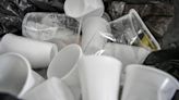 Experts discover proteins which degrade plastic