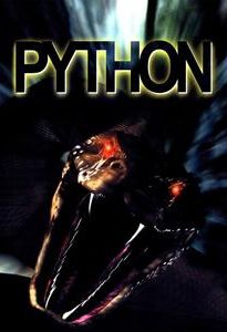 Python