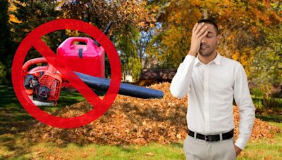 New Jersey's absurd leaf blower ban — NJ Top News