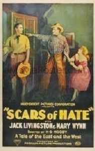 Scars of Hate