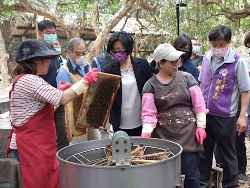 蜜源不足 彰化縣啟動蜂農災害救助