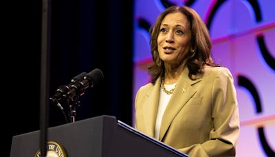 Harris Outdoes Biden in 2 State Polls but Has Her Own Weaknesses