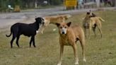 Police book two men for trying to dump stray dogs in MP's Satna river