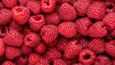 The Absolute Worst Way To Store Raspberries In Your Fridge