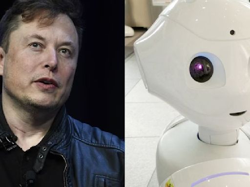 Elon Musk revela cuáles empleos no serán reemplazados por la IA