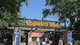 Ostrich Tragically Passes Away After Eating Zookeeper's Keys at Topeka Zoo