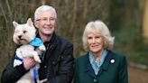 ITV Will Push On With Latest Season Of ‘Paul O’Grady: For The Love Of Dogs’ Following Death Of Much-Loved TV...