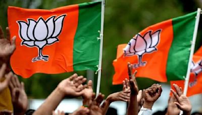 BJP To Contest Jharkhand Polls In Alliance With AJSU Party, JD(U): Himanta