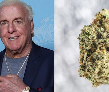 Ric Flair's Drip Cannabis Products Hit Shelves In Michigan Via Collab With Goldkine, Here Where To Find Them