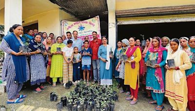 150 lemon saplings distributed to women’s groups in Nela ward