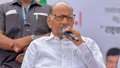 'As Arjuna's target was an eye...': Sharad Pawar says MVA intact, eyes set on assembly polls in Maharashtra