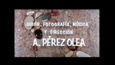 Antonio Pérez Olea, un compositor a la vanguardia del cine documental en España