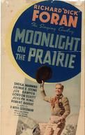 Moonlight on the Prairie