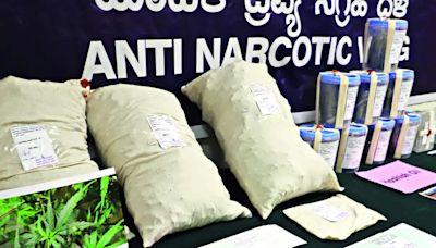 Drug Trafficking Activities on the Rise in Bengaluru; Significant Seizure Made by Anti Narcotics Wing