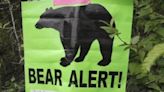 Police alert public of bear sighting in Oxford