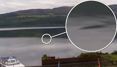 Is this a new sighting of the Loch Ness Monster?