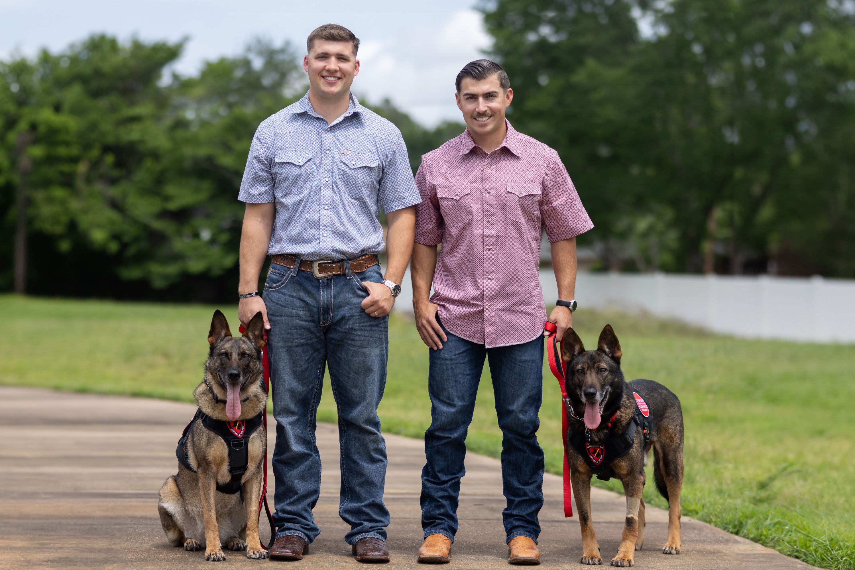 Touching moment soldiers reunited with their loyal canines after retirement