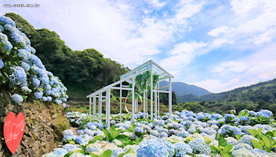 竹子湖繡球花特色農遊 鶯歌陶藝體驗玩陶畫陶 | 蕃新聞