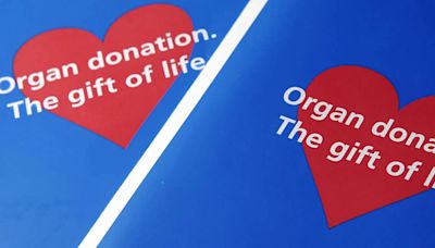 Organ Donation Can Save Donors’ Lives, Too | by Peter Singer - Project Syndicate