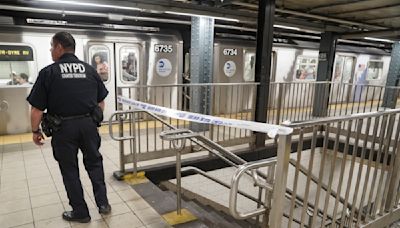 Man sets stranger on fire on downtown Manhattan subway train: cops