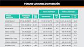 Atención inversores: estos son los mejores fondos comunes de inversión para poner pesos