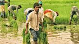 Coastal area and rice belt populations at high risk of brain infections during monsoon : Experts - ET HealthWorld