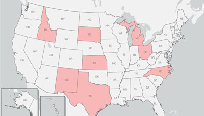 Bird flu outbreak hasn't hit Arizona dairy farms. Why the risk to humans remains low