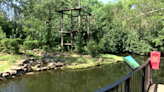 Little Rock Zoo become certified as sensory inclusive