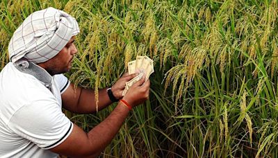 Telangana Govt issues detailed guidelines for crop loan waiver a month ahead of Aug 15 deadline