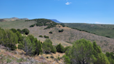 Collaborators join in juniper removal efforts to improve wildlife habitat and natural regeneration