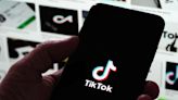 Bretagne : Pourquoi la région a décidé de supprimer son compte TikTok