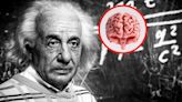 ¿Quién se robó el cerebro de Albert Einstein? Fue un acto macabro