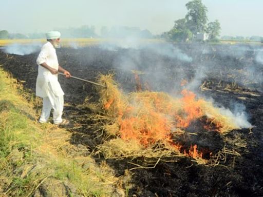 Farm fire count in UP twice as high as last year, poor AQI in Delhi