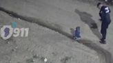 Video: un bebé gateaba solo en plena madrugada de Córdoba y lo rescataron los policías