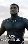 Black Panther (film)
